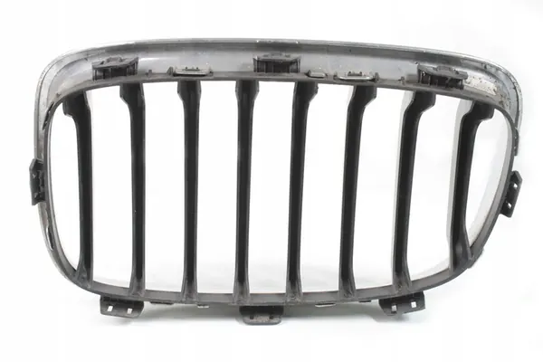 BMW F20 F21 Right Grill Insert 7239022 image 4