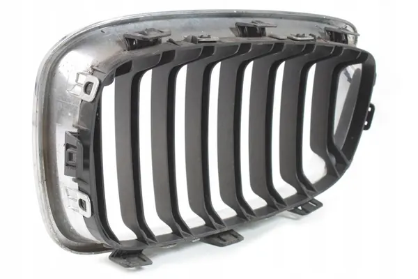 BMW F20 F21 Right Grill Insert 7239022 image 5