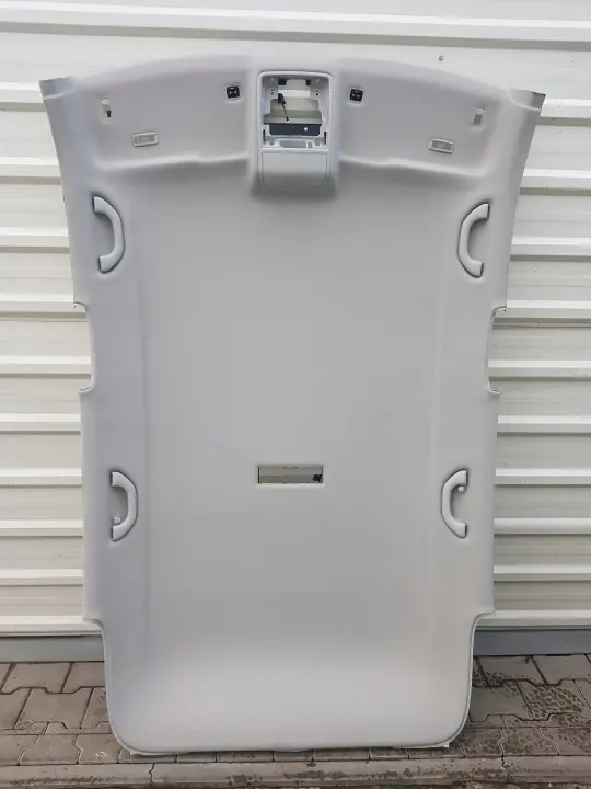 Plafonnier VW Tiguan I 5N OEM 5N0867501DL image 2