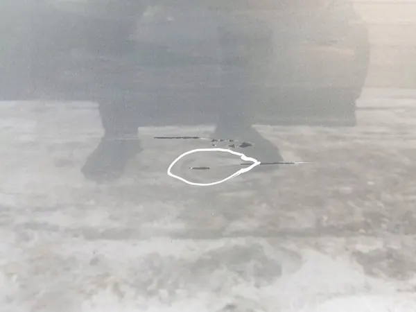 SEAT OEM TOC49966 Höger framdörr för LEON III image 3