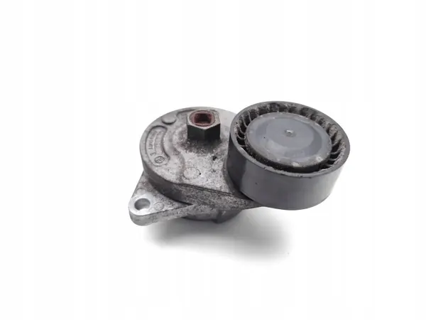Tensor de correa multi-V Land Rover Diesel image 3
