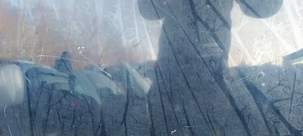 AUDI A6 C5 LIFT 01-04 Tampa do motor image 3