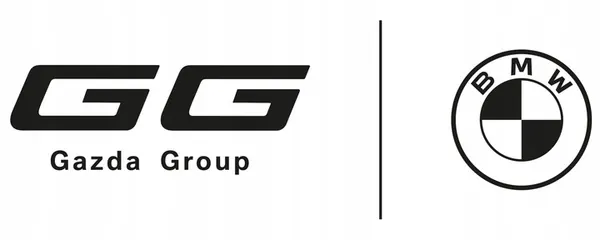 BMW Ovi Ikkuna 5133 7259826 image 2