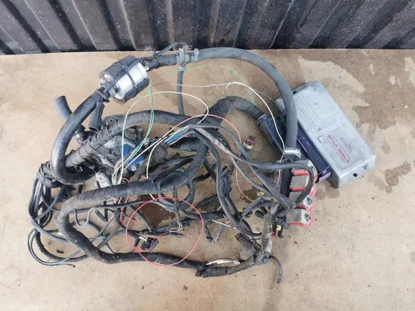 Kit LPG STAG 300 PLUS para motores 4 cilindros image 2