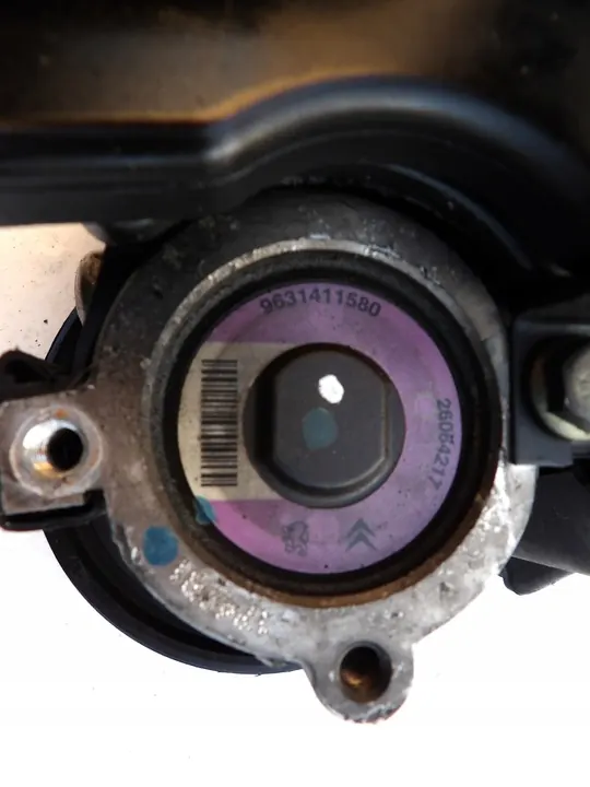 Servostyrningspump Peugeot 206 1.4 9631411580 image 6