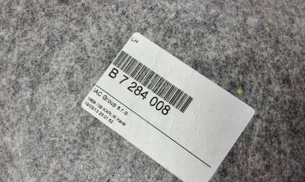 Vaalea Katonpäällyste OEM 4849405 BMW F30 image 7