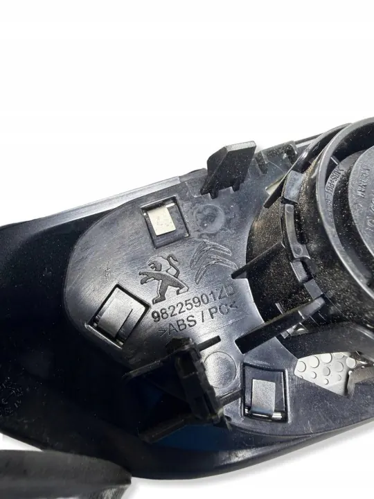 OEM 9809350780 Deurbekleding Luidsprekerkap Rechts Achter image 5