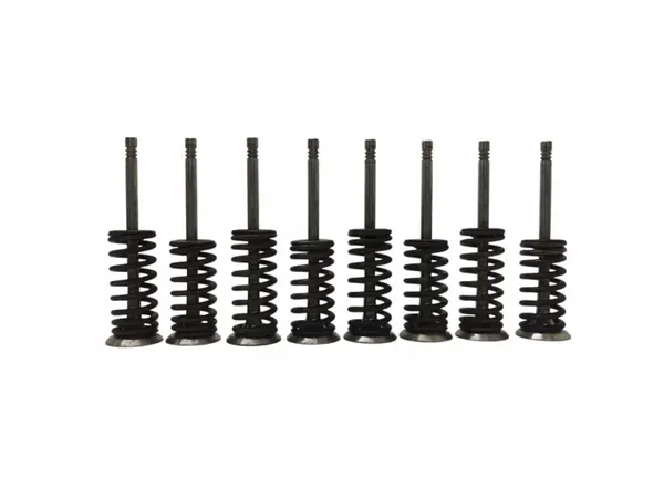 Audi OE Ventil OEM SKR541 - Gebrauchter Zustand image 5
