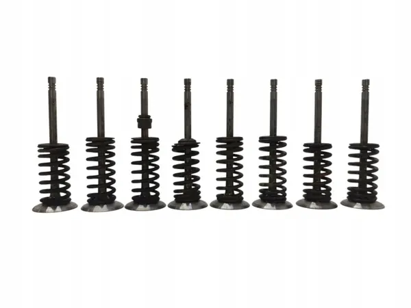 Audi OE Ventil OEM SKR541 - Gebrauchter Zustand image 6