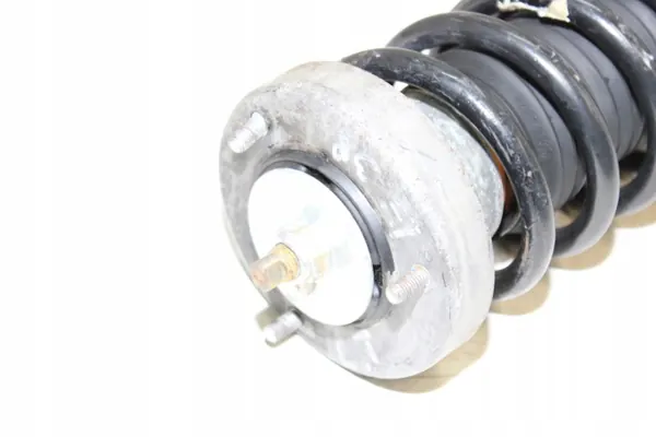 Amortecedor Traseiro Esquerdo Nivo BMW E38 750IL/740IL OEM image 4