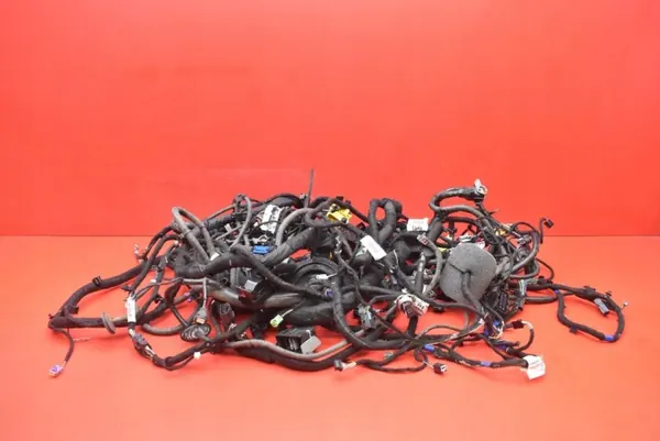 Harness interior OEM mamAUTO-1010252 Opel Ampera-E image 2