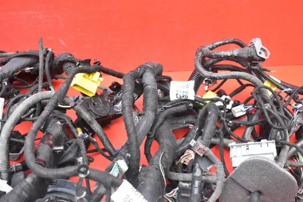 Harness interior OEM mamAUTO-1010252 Opel Ampera-E image 3