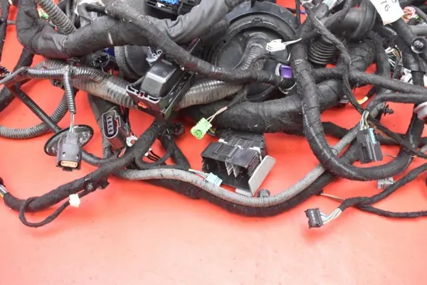 Harness interior OEM mamAUTO-1010252 Opel Ampera-E image 5