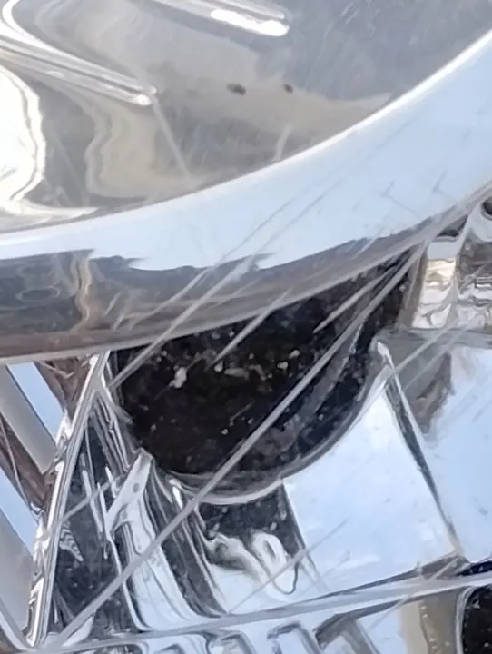 Oikea Ajovalo Dacia Dokker Lodgy 2012-2021 OEM 260109545R image 3