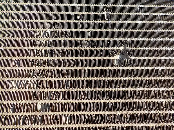 Radiador de agua Renault Modus OE 8200134606 image 4