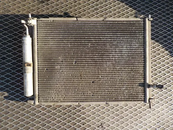 Radiador de agua Renault Modus OE 8200134606 image 5