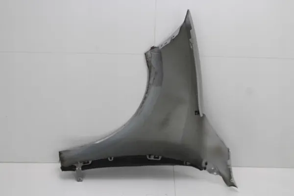 OEM 360212675 fram höger stänkskärm för Renault Megane III image 7
