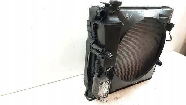 Radiador completo BMW X5 E53 2003 64536914216 image 2