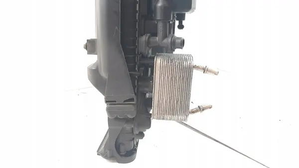 Radiador completo BMW X5 E53 2003 64536914216 image 9