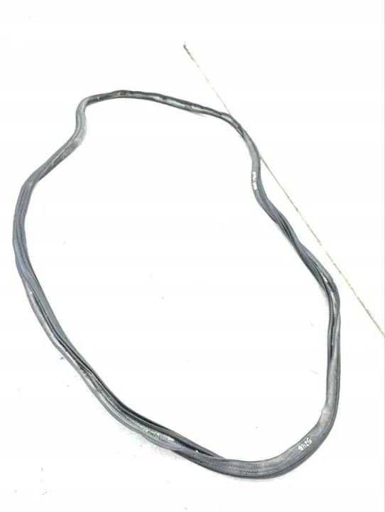 Junta de porta-malas OEM 284453 para Ford Expedition 2020 image 3