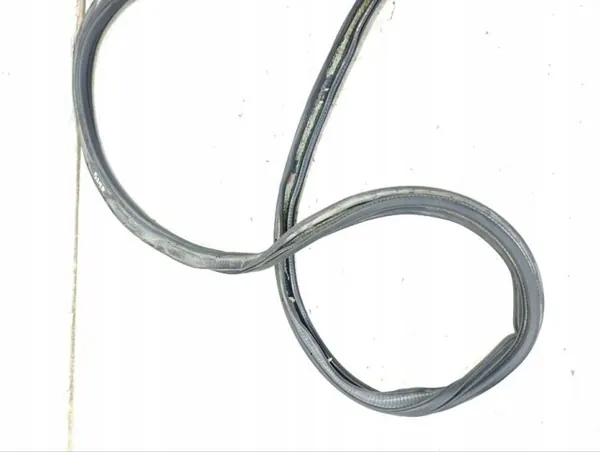 Junta de porta-malas OEM 284453 para Ford Expedition 2020 image 6