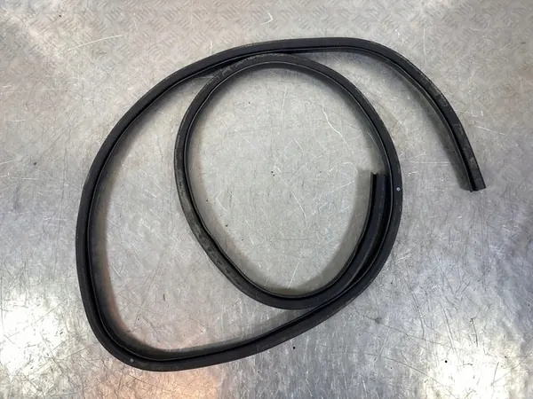 Vedação da porta dianteira Ford Escape IV 2022 FOB52161 image 3