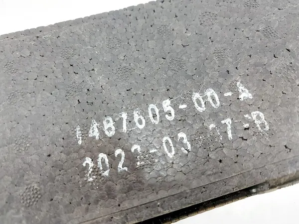 TESLA Y Puskuriimeytys 1487605-00-A image 6