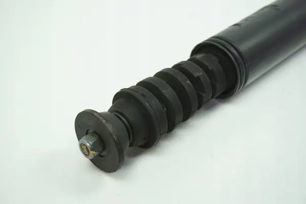 Amortizzatore posteriore Renault OE 562105955R image 5