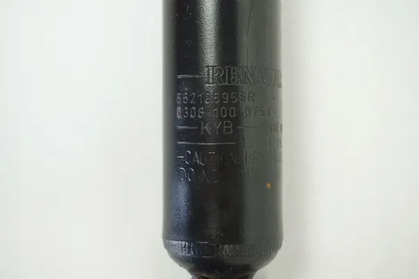 Amortizzatore posteriore Renault OE 562105955R image 6