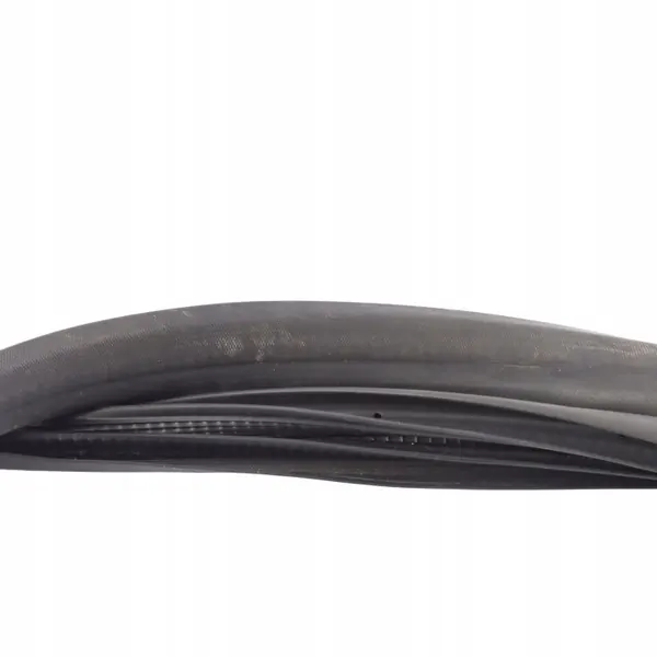 Joint de Porte Ford Fiesta VI F1BB-B20531-AC Avant Gauche image 4