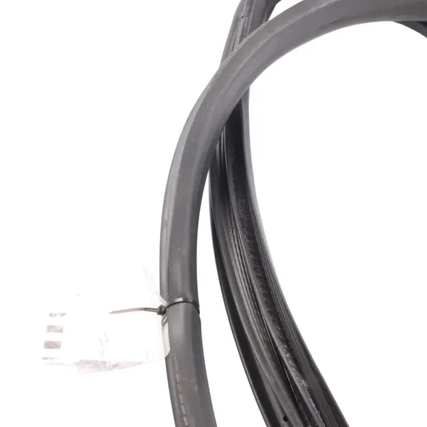 Joint de Porte Ford Fiesta VI F1BB-B20531-AC Avant Gauche image 5
