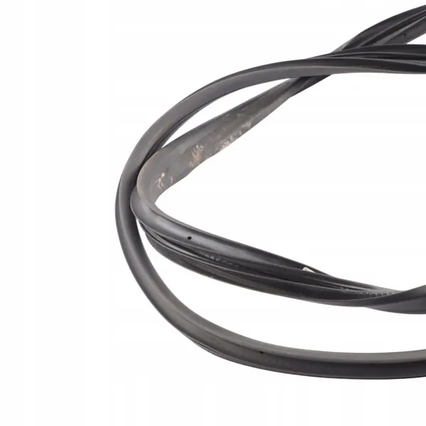 Joint de Porte Ford Fiesta VI F1BB-B20531-AC Avant Gauche image 7