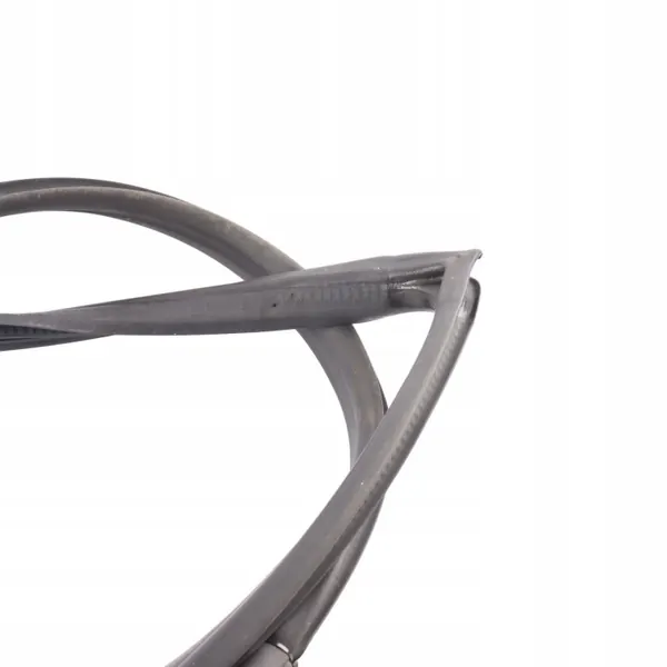 Joint de Porte Ford Fiesta VI F1BB-B20531-AC Avant Gauche image 8
