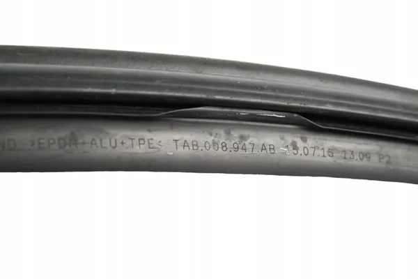Junta da porta dianteira esquerda OEM 3G0837431M VW Passat B8 image 6