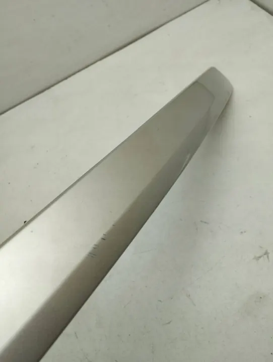 Bandeau d'éclairage plaque arrière OEM 7681102180 image 3