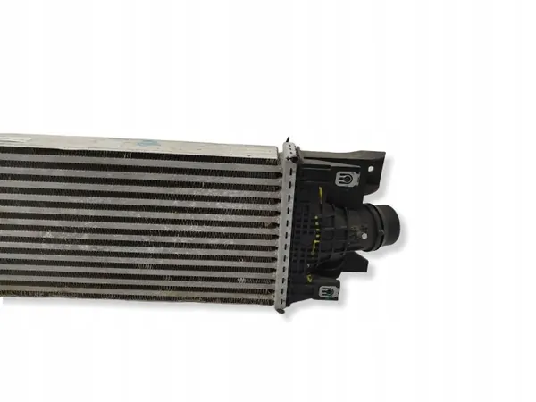 OEM 9813971880 Intercooler für DS7 1.6 THP image 8