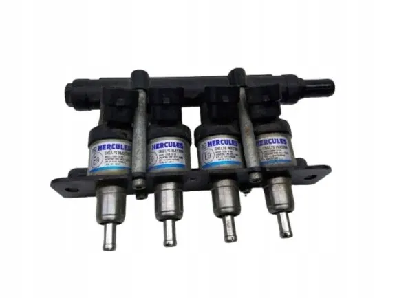 Rail injetor GPL OEM 67R-011048 para Opel Vectra C image 2