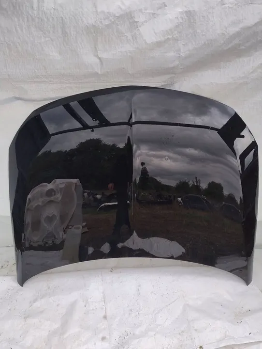 Opel Motorhuv OE 39117892 image 2