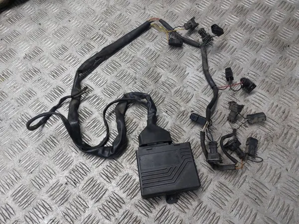 Emulador controlador injetor OEM 6 WTRYSKIWACZY image 2