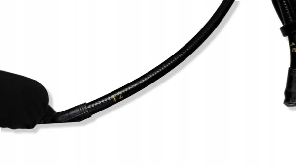 Atuador de tejadilho esquerdo Mercedes Classe E W207 OEM A2098000772 image 5