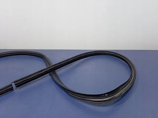 Dacia Logan I MCV Rear Left Door Seal image 3