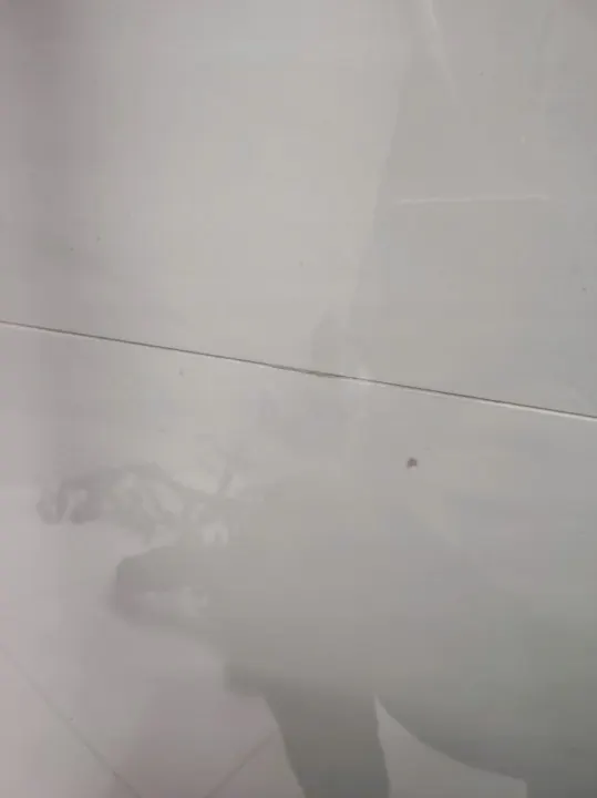 Etulasi OEM SZYBA CZOŁOWA PRZÓD BMW XM G09 image 5