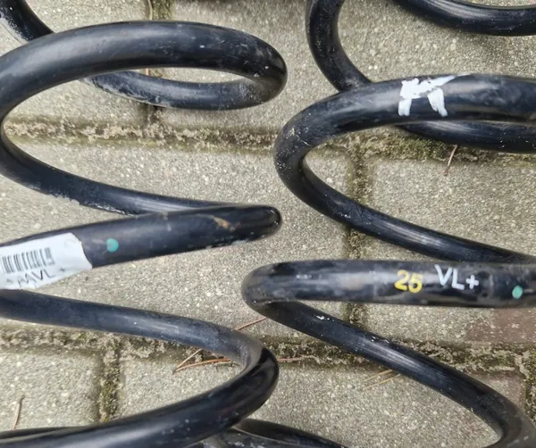 OPEL ASTRA K 1.6 CDTI Ammortizzatori Posteriori Molle GM OE image 3