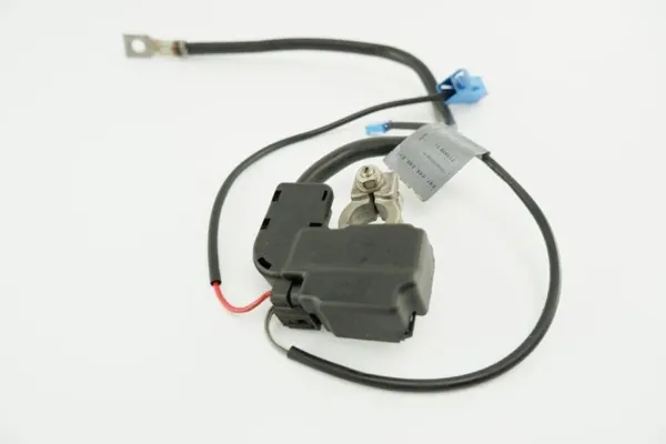 Borne négative batterie BMW OEM 7579004-01 image 3