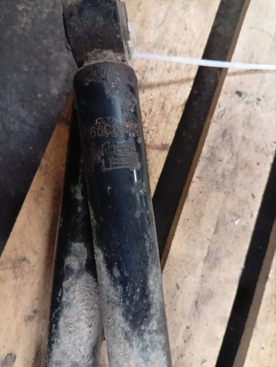 Ammortizzatore posteriore Seat Leon (1P) 2008 image 3