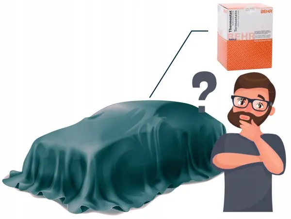 Mahle TM 18 105 Thermostaat, Gebruikt image 8