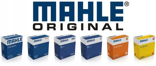 Mahle TM 18 105 Thermostaat, Gebruikt image 9