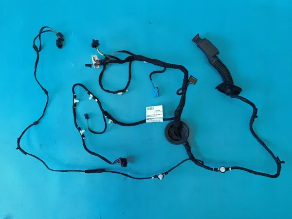 Harness puerta trasera izquierda Audi Q8 e-tron 55 Quattro 4KE971687D image 2