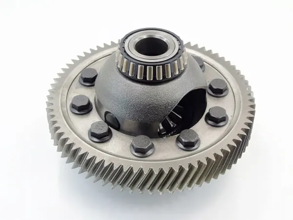 OEM 2510058010 Differentiaalimekanismi Renaultille image 2