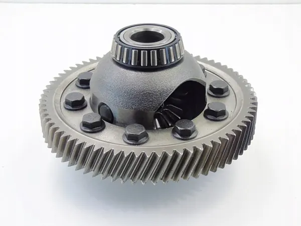 OEM 2510058010 Differentiaalimekanismi Renaultille image 3